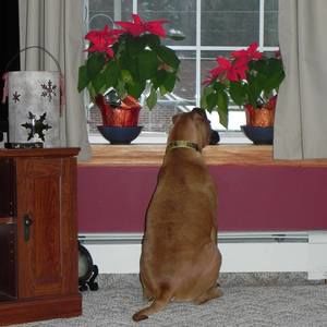 Meet your Posher, Barb